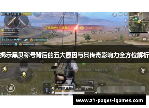 揭示黑贝称号背后的五大原因与其传奇影响力全方位解析 揭示黑贝称号背后的五大原因与其传奇影响力全方位解析