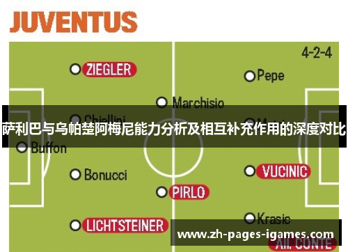 萨利巴与乌帕楚阿梅尼能力分析及相互补充作用的深度对比