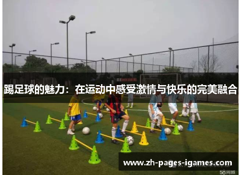 踢足球的魅力：在运动中感受激情与快乐的完美融合