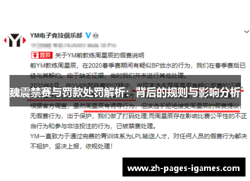 魏震禁赛与罚款处罚解析：背后的规则与影响分析